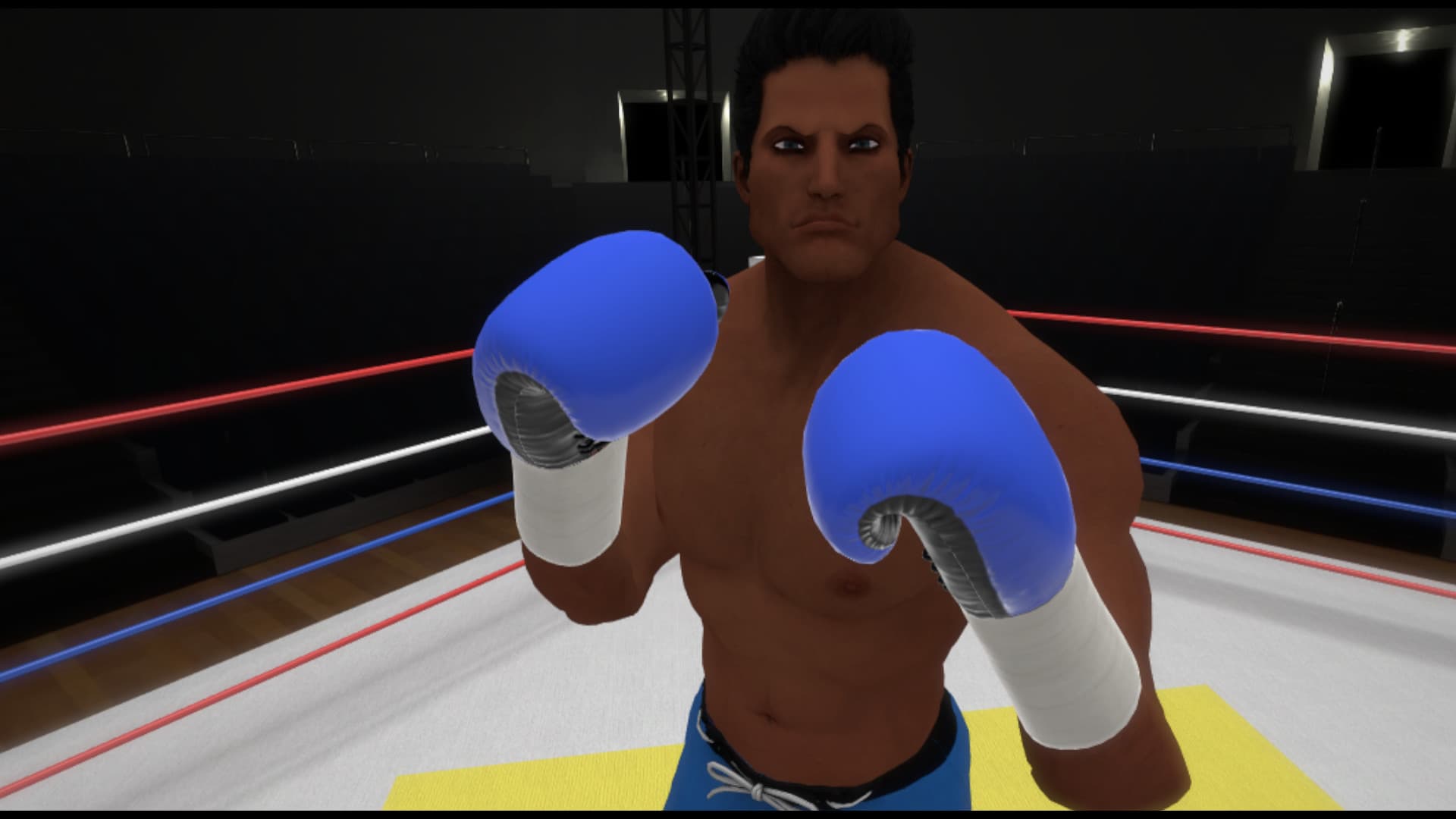 The Thrill of the Fight - VR Boxing screenshot 5