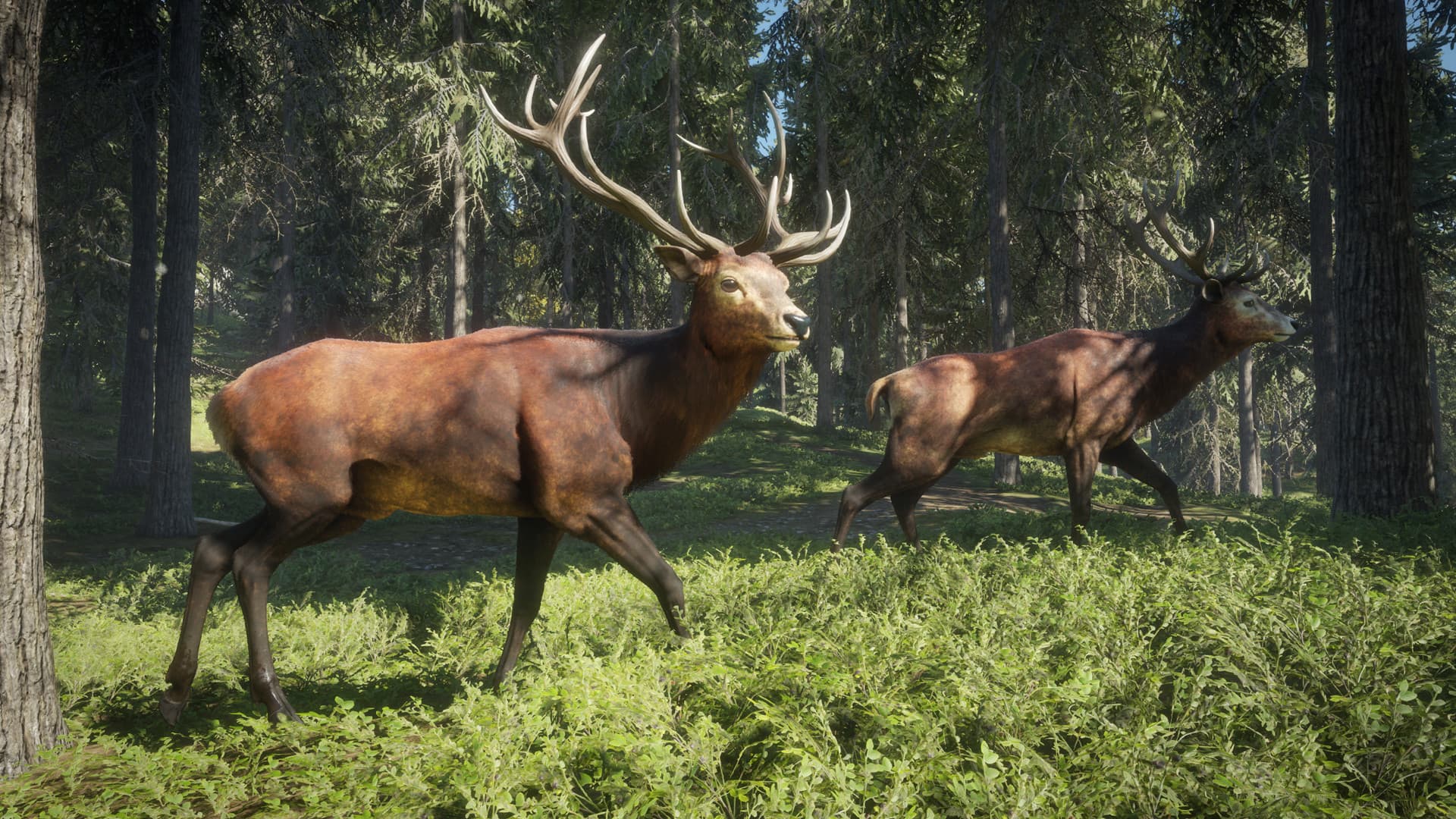 theHunter: Call of the Wild™ screenshot 3