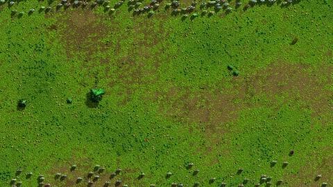 Songs of Syx screenshot 4