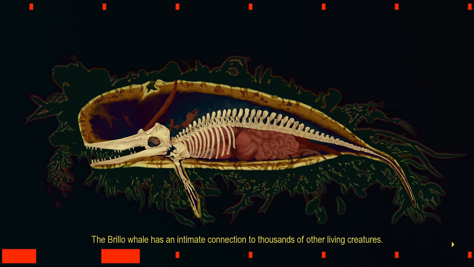 South Scrimshaw, Part One screenshot 2