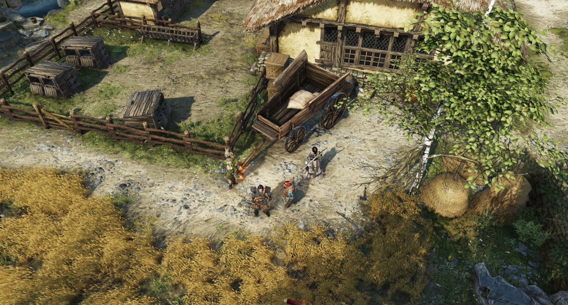 Divinity: Original Sin 2 screenshot 1