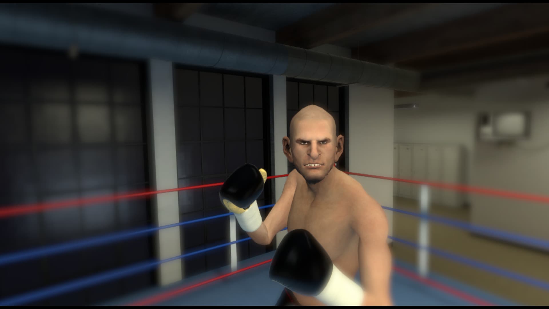 The Thrill of the Fight - VR Boxing screenshot 2
