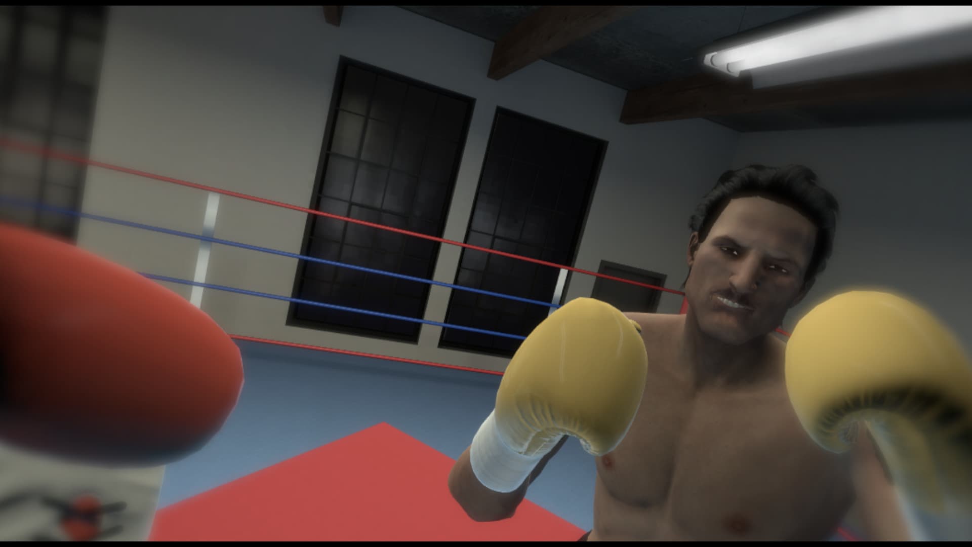 The Thrill of the Fight - VR Boxing screenshot 3