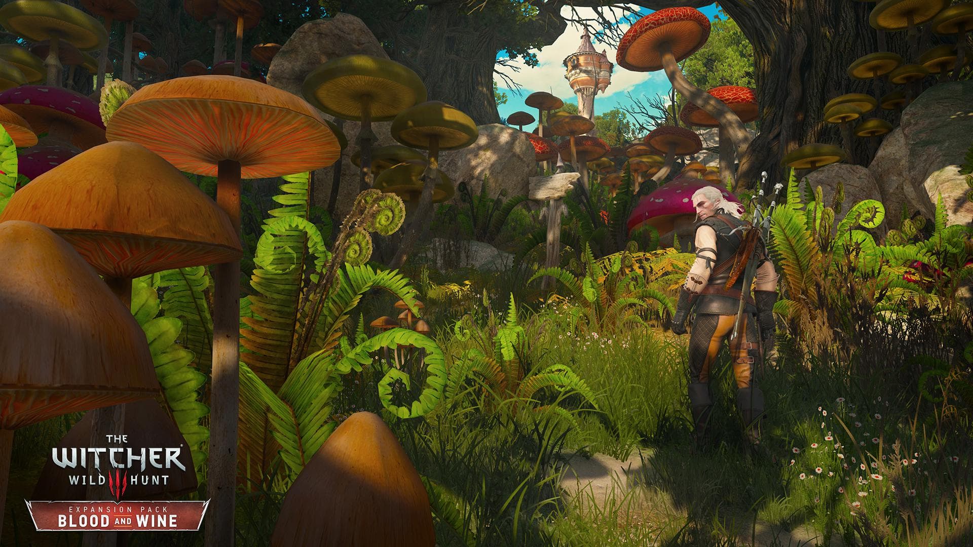The Witcher 3: Wild Hunt - Blood and Wine screenshot 1