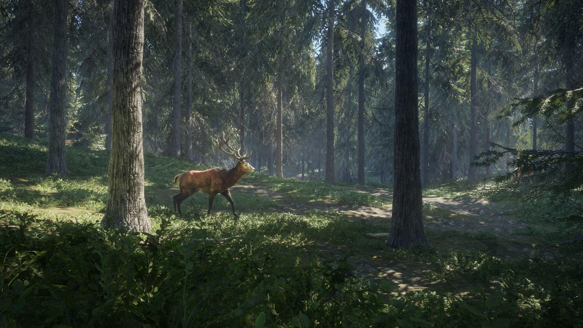theHunter: Call of the Wild™ screenshot 5