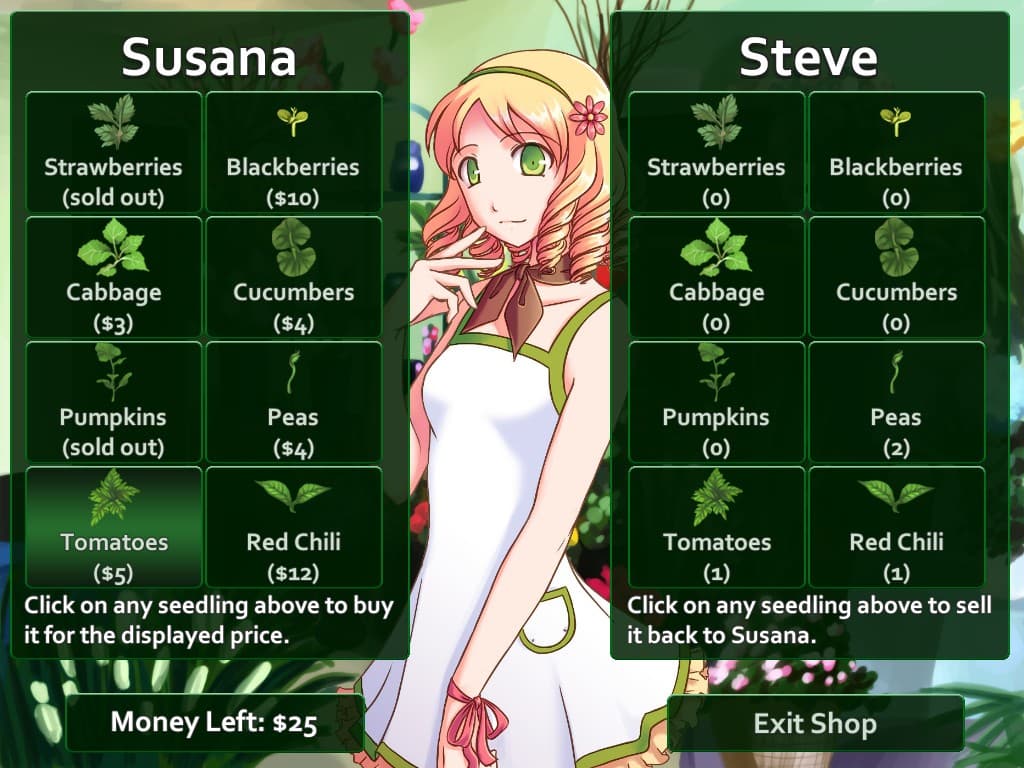 Flower Shop: Summer In Fairbrook screenshot 2