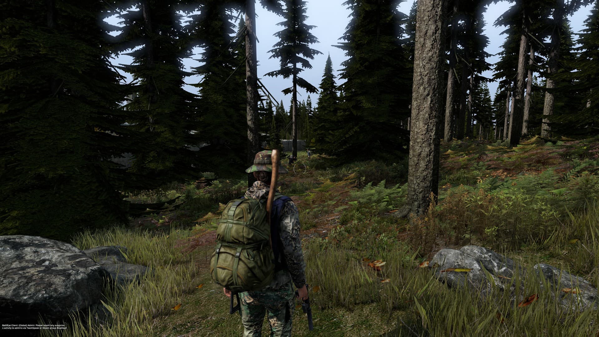 DayZ screenshot 5