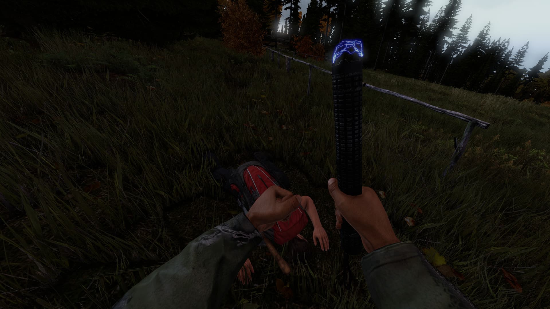 DayZ screenshot 3