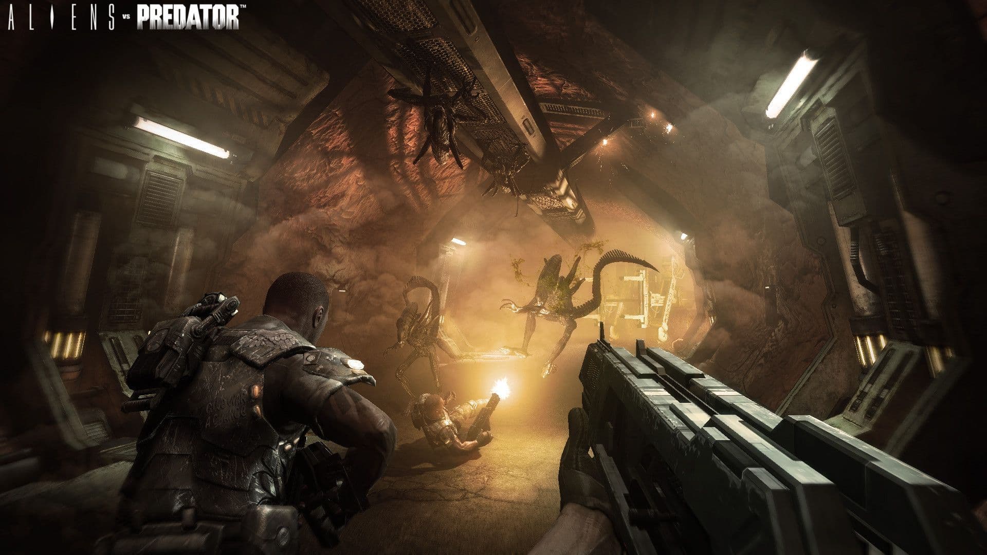 Aliens vs. Predator screenshot 2