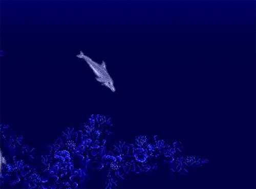 Ecco the Dolphin screenshot 2