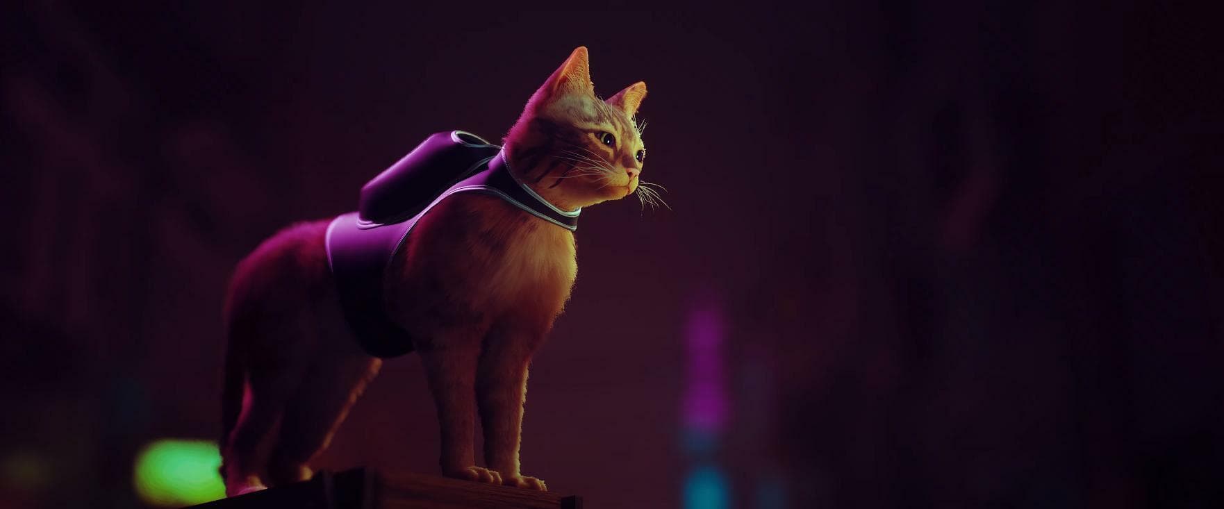 Stray screenshot 1