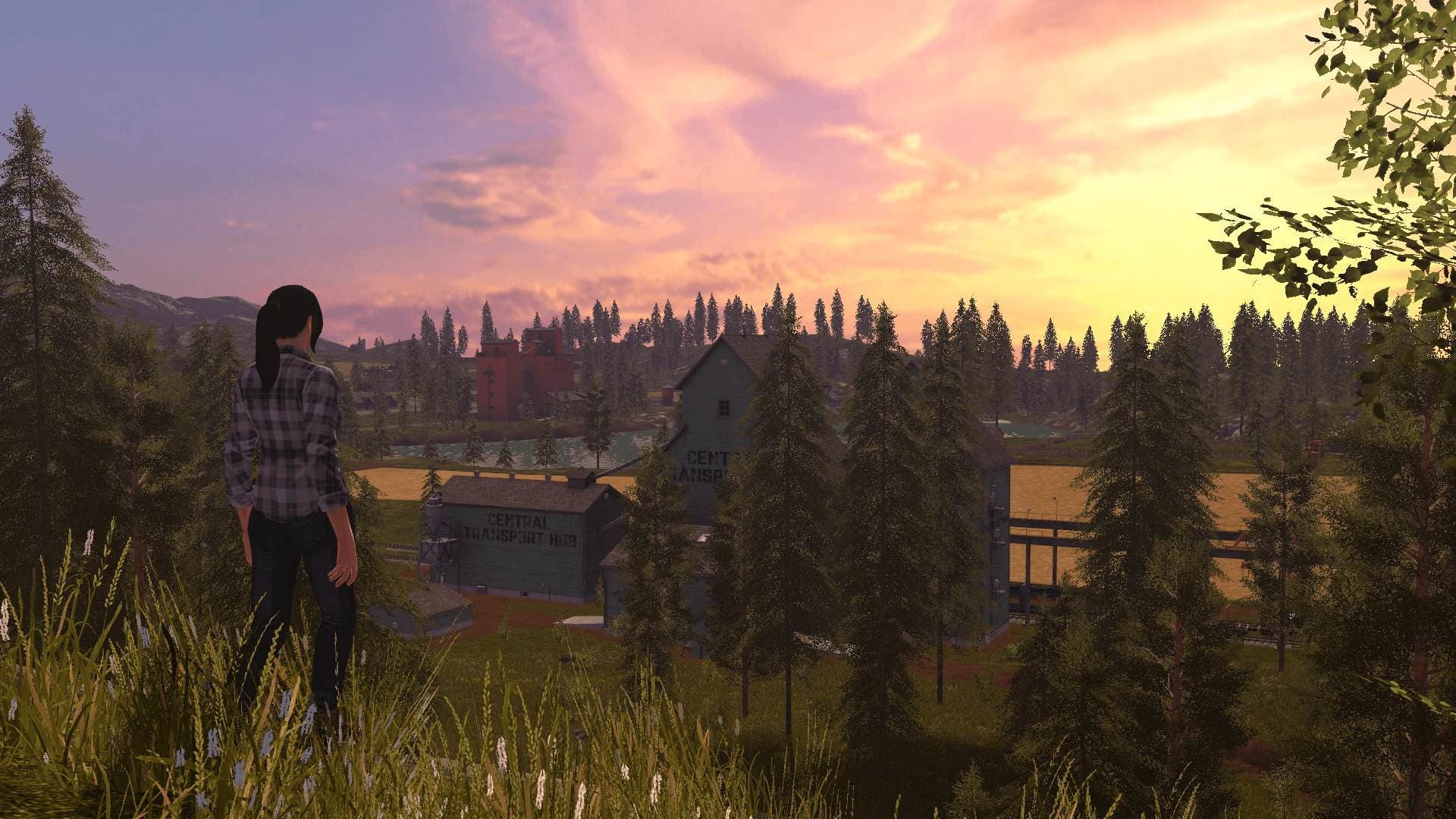Farming Simulator 17 screenshot 4