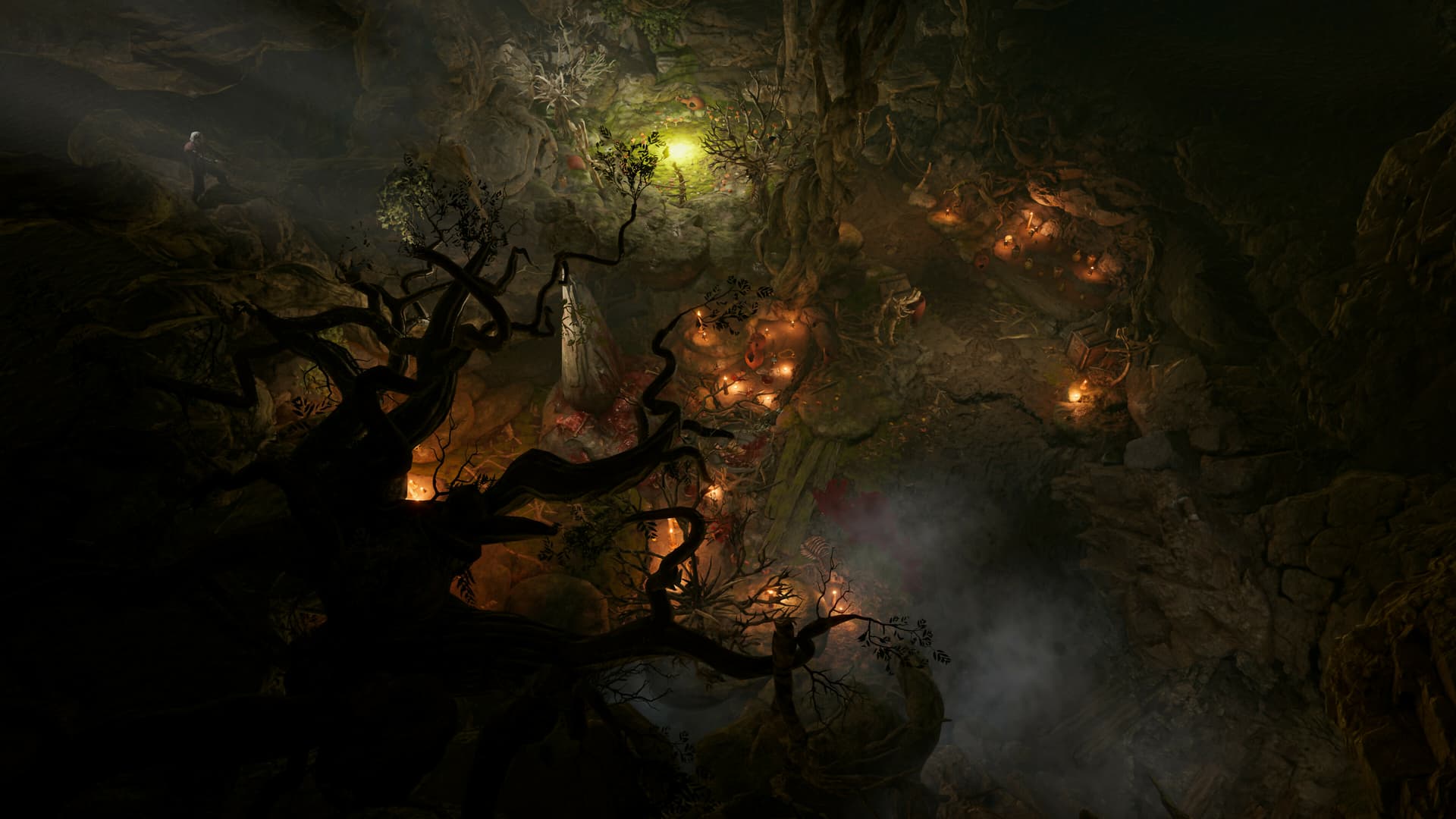 Baldur's Gate 3 screenshot 1