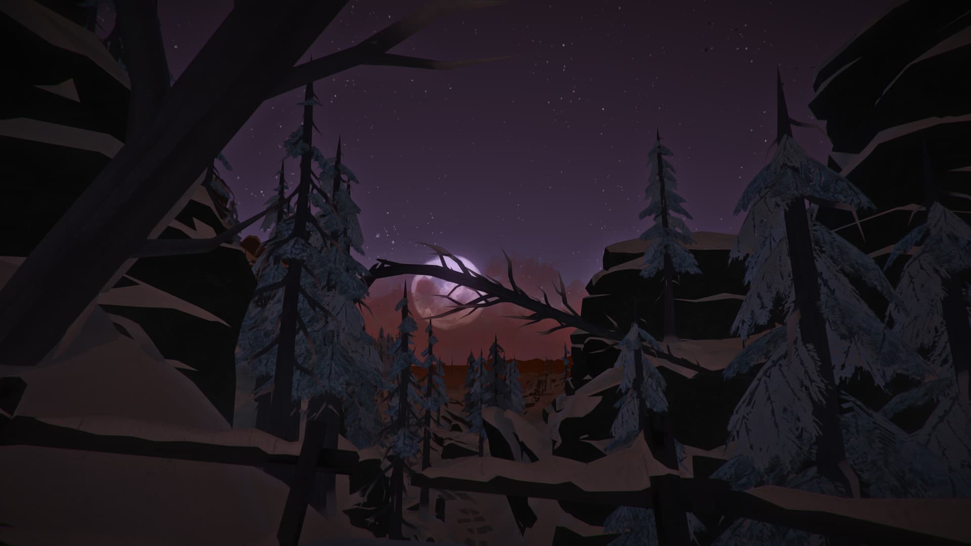 The Long Dark screenshot 1