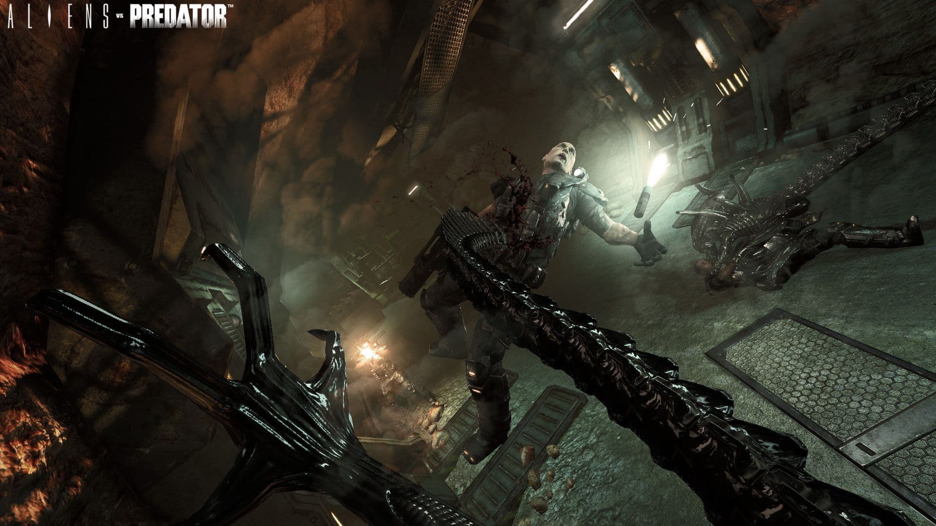 Aliens vs. Predator screenshot 3